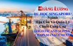 Du học Singapore với ngành Logistic and Supply Chain Management (Ngành hậu cần và quản lý chuỗi cung ứng)