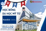 HỌC BỔNG TRƯỜNG BRANDEIS INTERNATIONAL BUSINESS SCHOOL (MASSACHUSETTS, HOA KỲ)