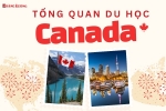 TỔNG QUAN DU HỌC CANADA: Bức tranh toàn diện về cơ hội – chính sách – chi phí – lộ trình học